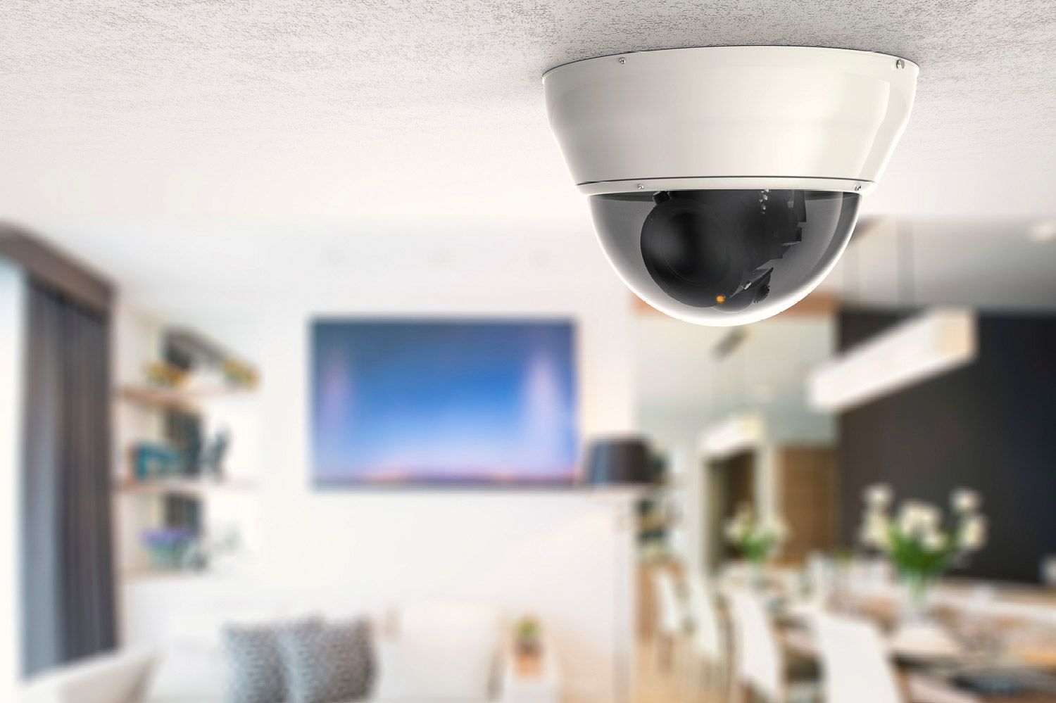 Video Surveillance and Intruder Detection